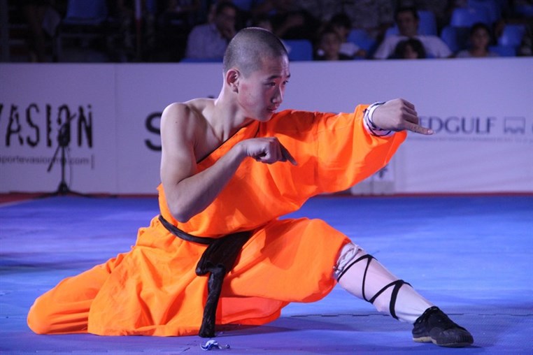 Martial Arts Festival